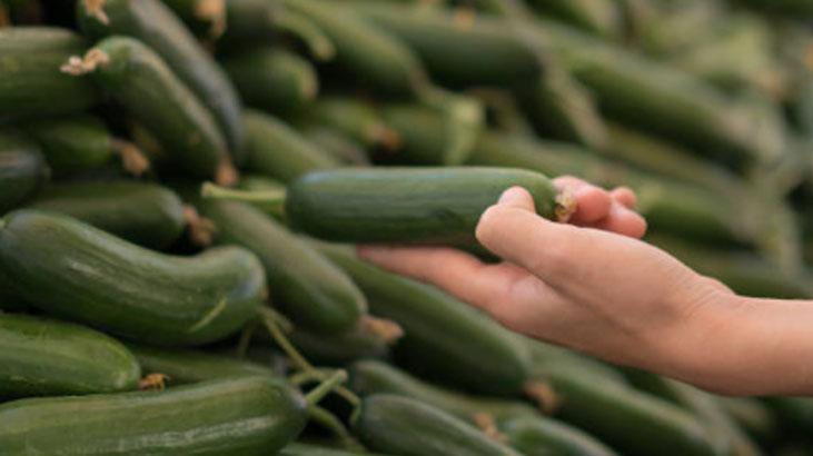 Balkonda kıtır kıtır salata, pet şişede sera etkisi