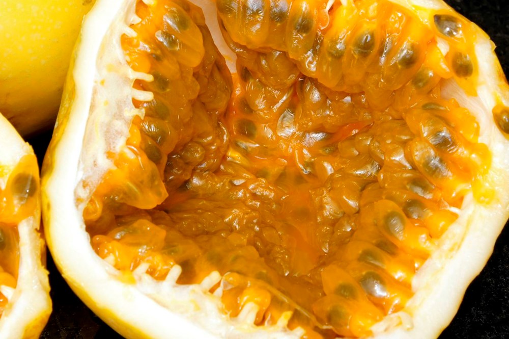 Doğanın magnezyum deposu