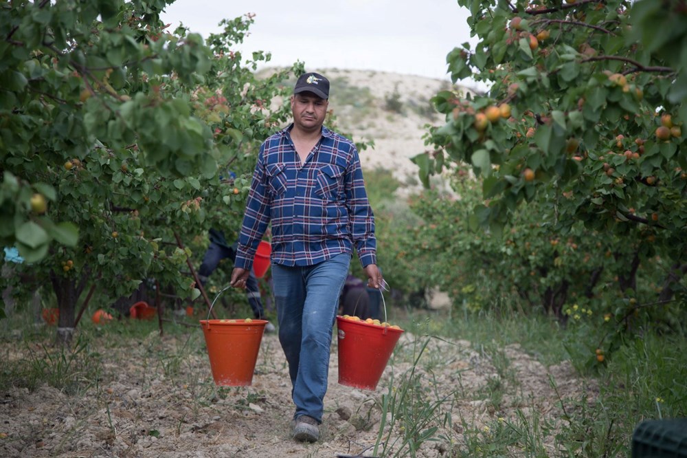 Tadı, rengi ve aromasıyla öne çıkan tescilli lezzet