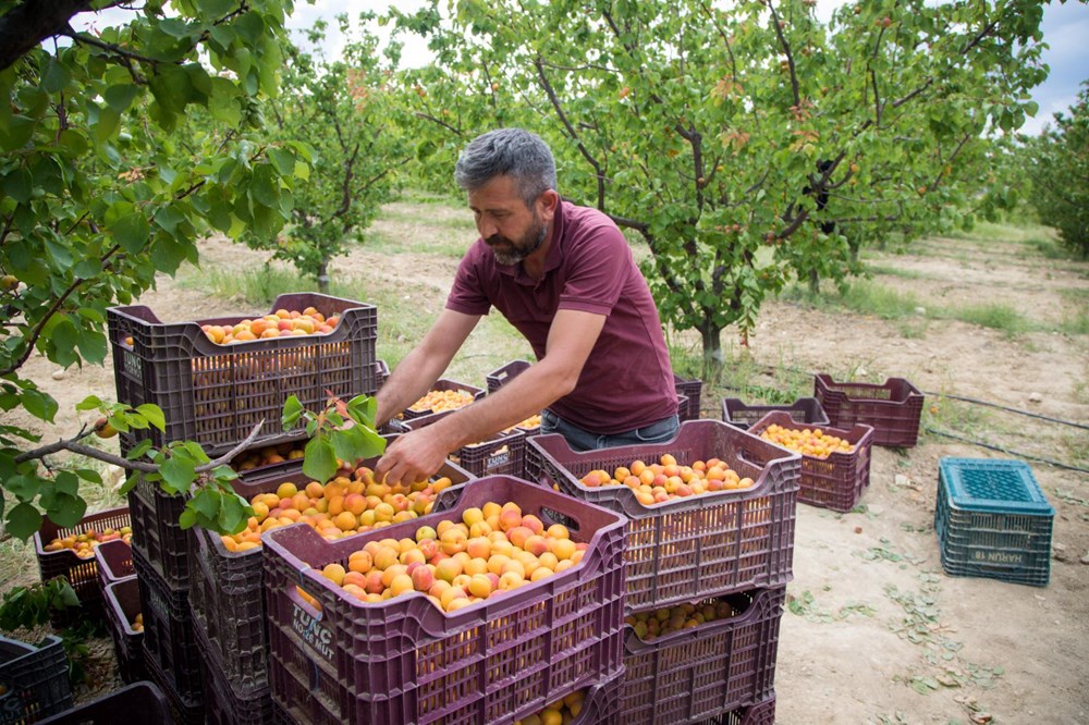 Tadı, rengi ve aromasıyla öne çıkan tescilli lezzet
