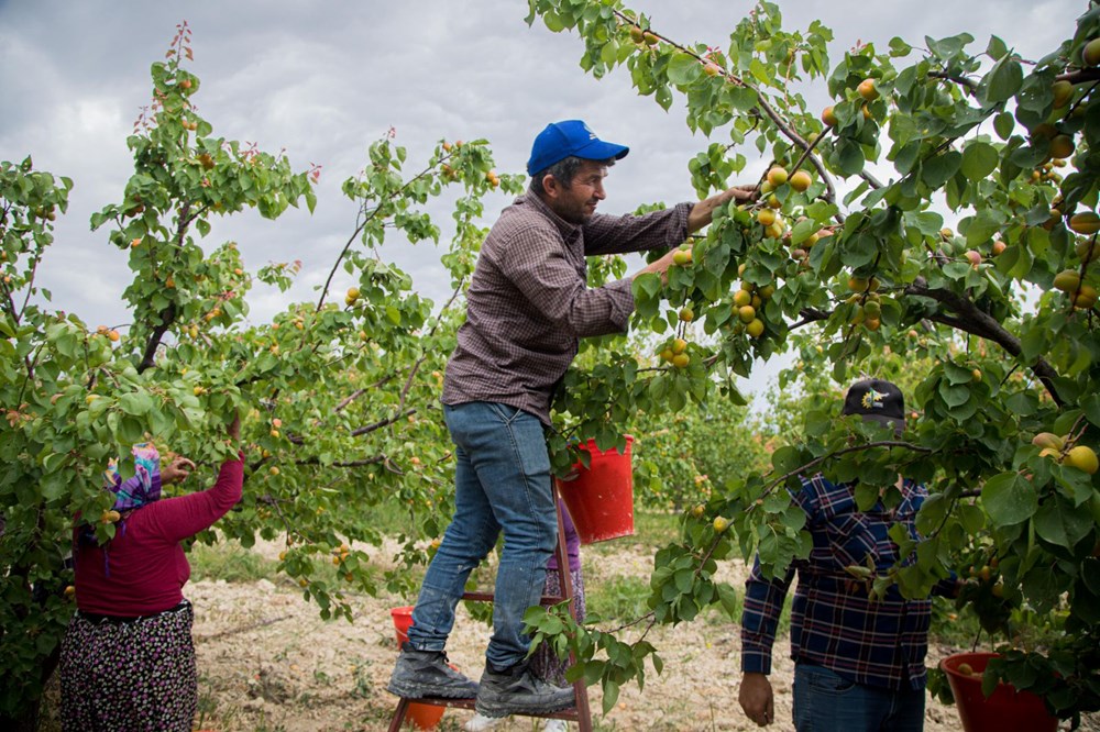 Tadı, rengi ve aromasıyla öne çıkan tescilli lezzet